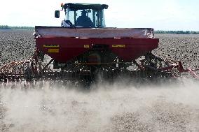 Sowing season in Cherkasy region