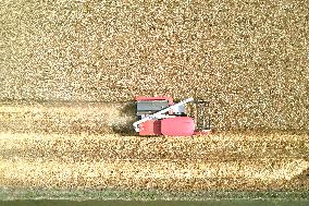 CHINA-SICHUAN-WHEAT HARVEST (CN)