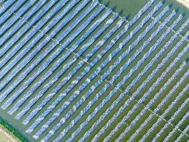 Fishery-solar Hybrid in Lianyungang