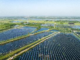 Fishery-solar Hybrid in Lianyungang