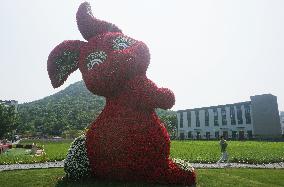 Giant Rabbit