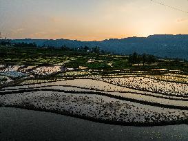 Xiaotun Rice Terraces