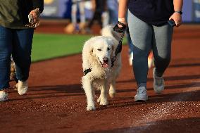 Philadelphia Phillies v New York Mets - MLB