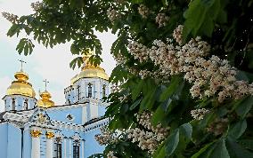 Chestnuts bloom in Kyiv