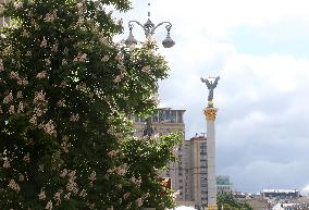 Chestnuts bloom in Kyiv