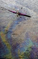 Oil spill in Pirita river