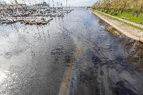 Oil spill in Pirita river