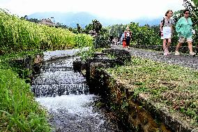 INDONESIA-BALI-JATILUWIH RICE TERRACES