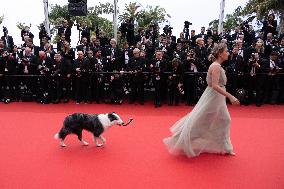 Cannes Opening Ceremony DB