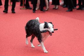 Cannes Opening Ceremony DB