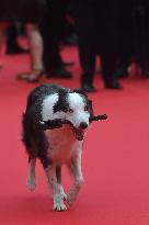 Cannes - Opening Ceremony Arrivals