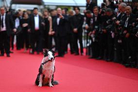 Cannes - Opening Ceremony Arrivals