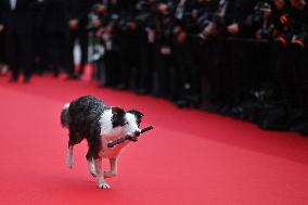 Cannes - Opening Ceremony Arrivals