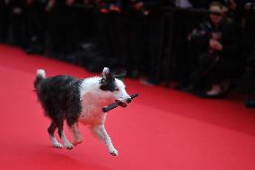 Cannes - Opening Ceremony Arrivals