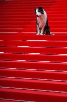 Cannes - Opening Ceremony Arrivals