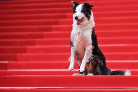 Cannes - Opening Ceremony Arrivals