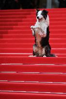 Cannes - Opening Ceremony Arrivals