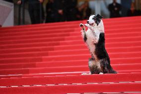 Cannes - Opening Ceremony Arrivals