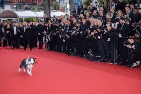 Cannes - Opening Ceremony Arrivals