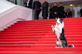 Cannes - Opening Ceremony Arrivals