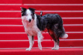 Cannes - Opening Ceremony Arrivals