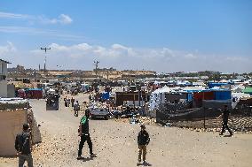 Almost 450,000 People Have Fled Rafah In A Week - Gaza