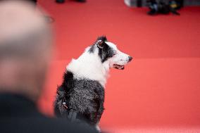 ''Le Deuxieme Acte'' (''The Second Act'') Screening & Opening Ceremony Red Carpet - The 77th Annual Cannes Film Festival