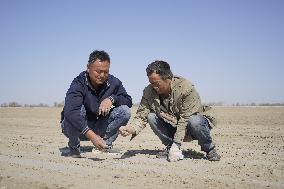 Xinhua Headlines: Dedicated farmers power Xinjiang's cotton harvest