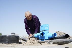 Xinhua Headlines: Dedicated farmers power Xinjiang's cotton harvest