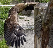 Podilskyi Zoo in Vinnytsia