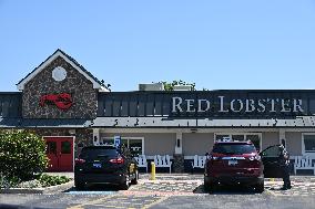 Red Lobster Eyeing Chapter 11 Bankruptcy After "Endless Shrimp" Loss