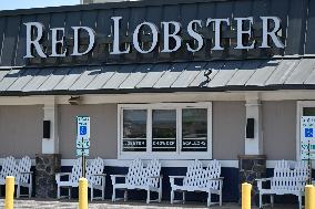 Red Lobster Eyeing Chapter 11 Bankruptcy After "Endless Shrimp" Loss
