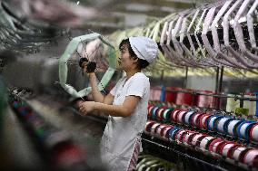 A Silk Company in Fuyang