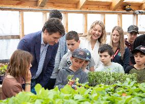 Prime Minister Justin Trudeau Transplants Tomato  - Canada