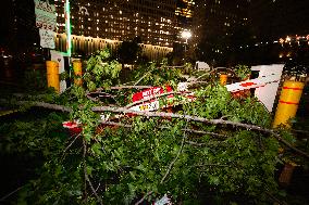 Severe Houston Storm Leaves Widespread Damage, Over 1 Million Without Power