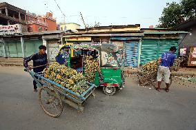 Pineapple Harvest - Bangladesh