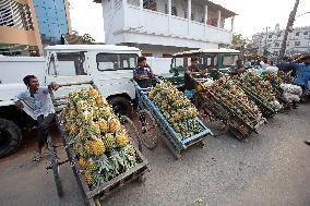 Pineapple Harvest - Bangladesh