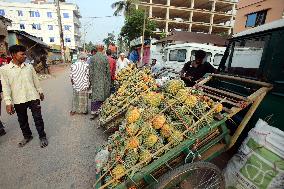 Pineapple Harvest - Bangladesh