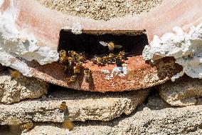 Cyprus : Athalassa Beekeeping Park