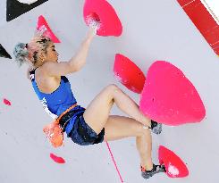 Sports climbing: Qualifying meet for Paris Olympics