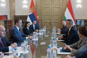 HUNGARY-BUDAPEST-FM-SERBIA-FM-MEETING