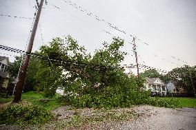 Fallen Trees From Powerful Houston Storm