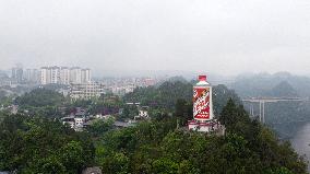 Giant Moutai Bottle