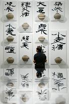 CHINA-SHAANXI-XI'AN-NEW MUSEUM (CN)