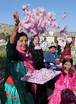 IRAN-SHIRAZ-DAILY LIFE