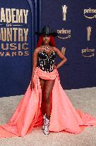 59th Academy of Country Music Awards - Texas -