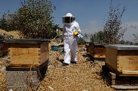 Beekeepers In Mexico Attend To Breeding Chambers Prior To World Bee Day