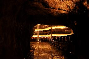 World's Largest Natural Wine Cellar in Hechi