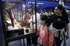 12th China (Hunan) International Mineral and Gemstone Expo