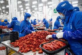 CHINA-HUNAN-YIYANG-CRAYFISH-INDUSTRY (CN)